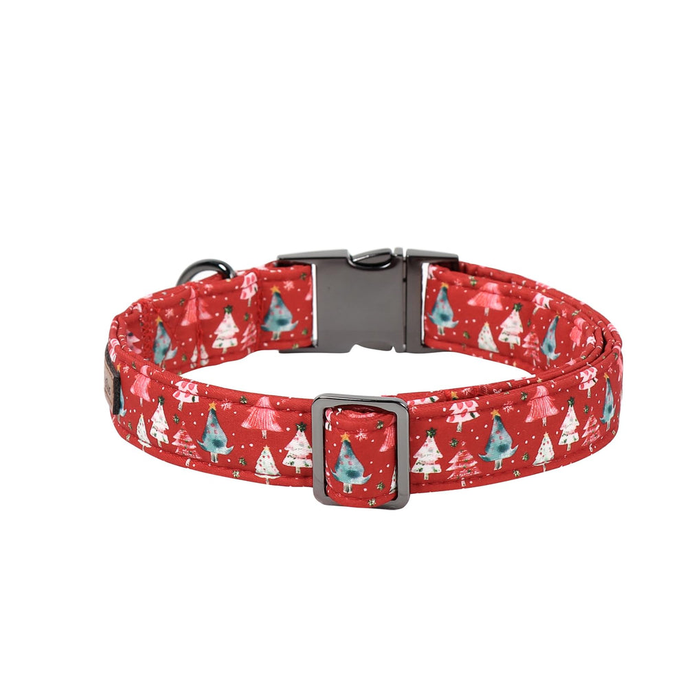 Lionet Paws collar para fotos en familia, ideal para eventos.