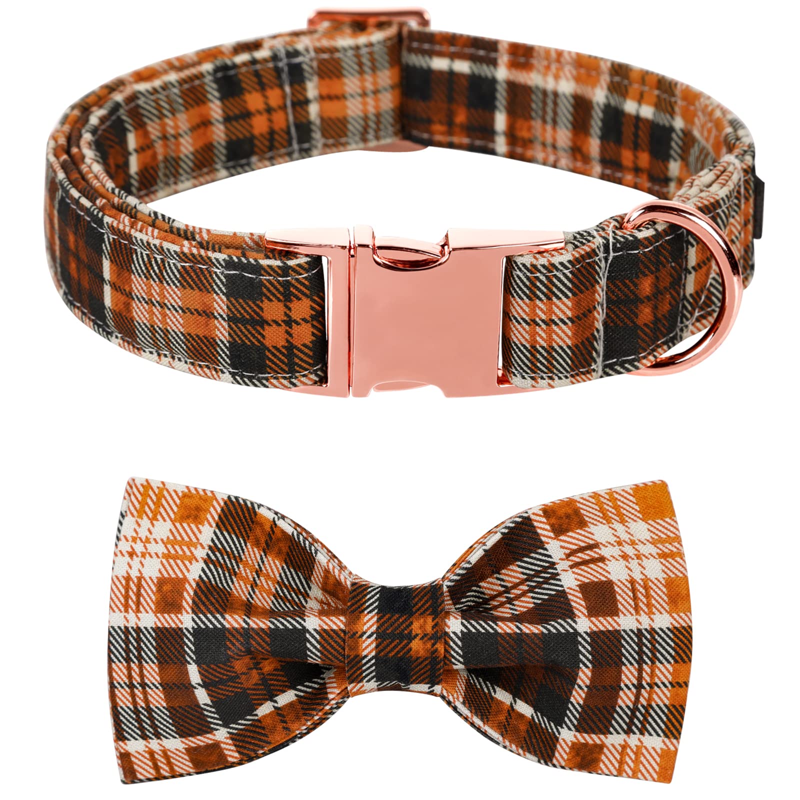 Collar Halloween con pajarita de Lionet Paws, perfecto para sesiones festivas del perro.