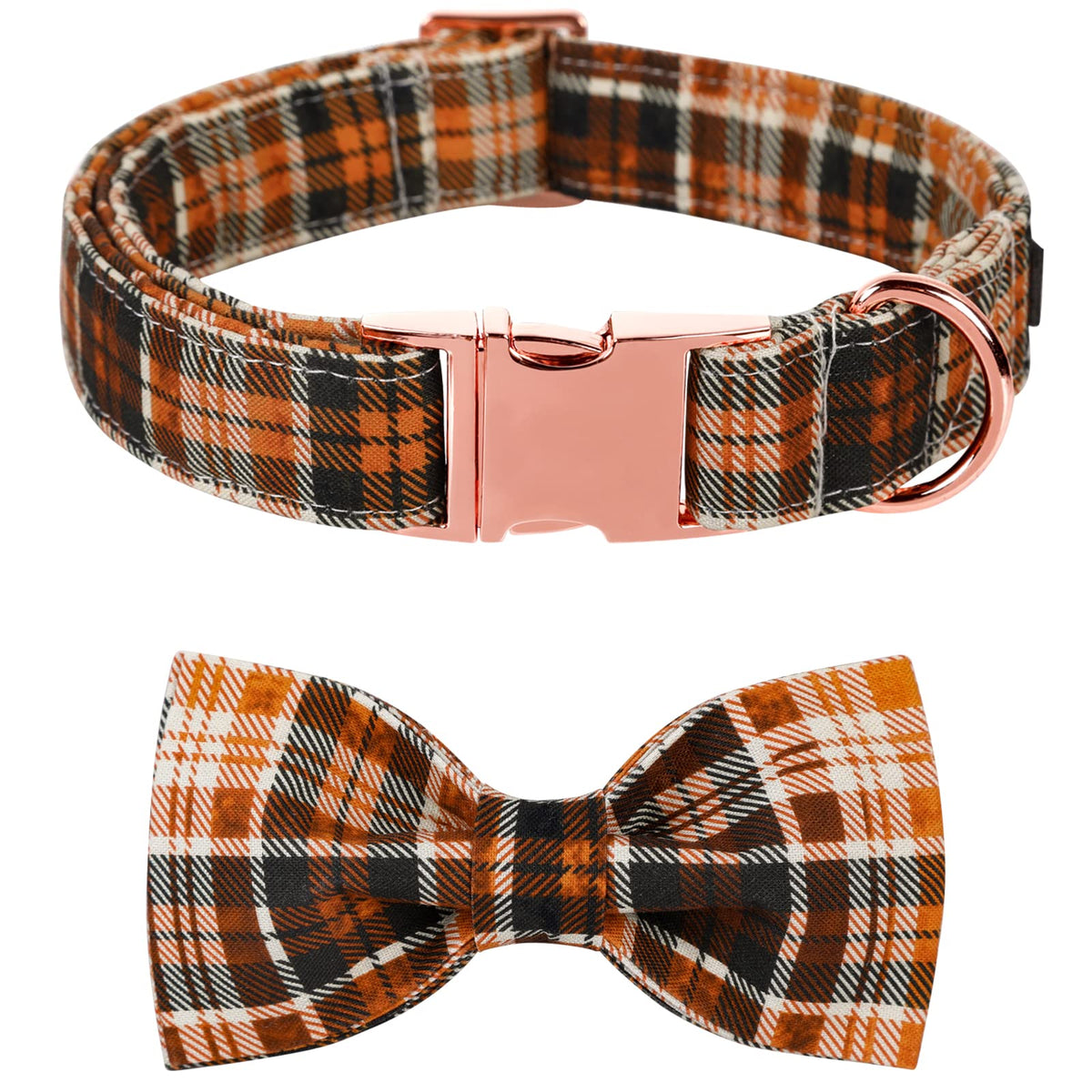 Collar Halloween con pajarita de Lionet Paws, perfecto para sesiones festivas del perro.