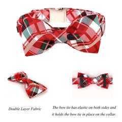 Lionet Paws collar hebilla metálica, ajuste seguro para perros.