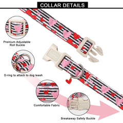 Hebilla plástica del collar Lionet Paws, fácil de poner y quitar.