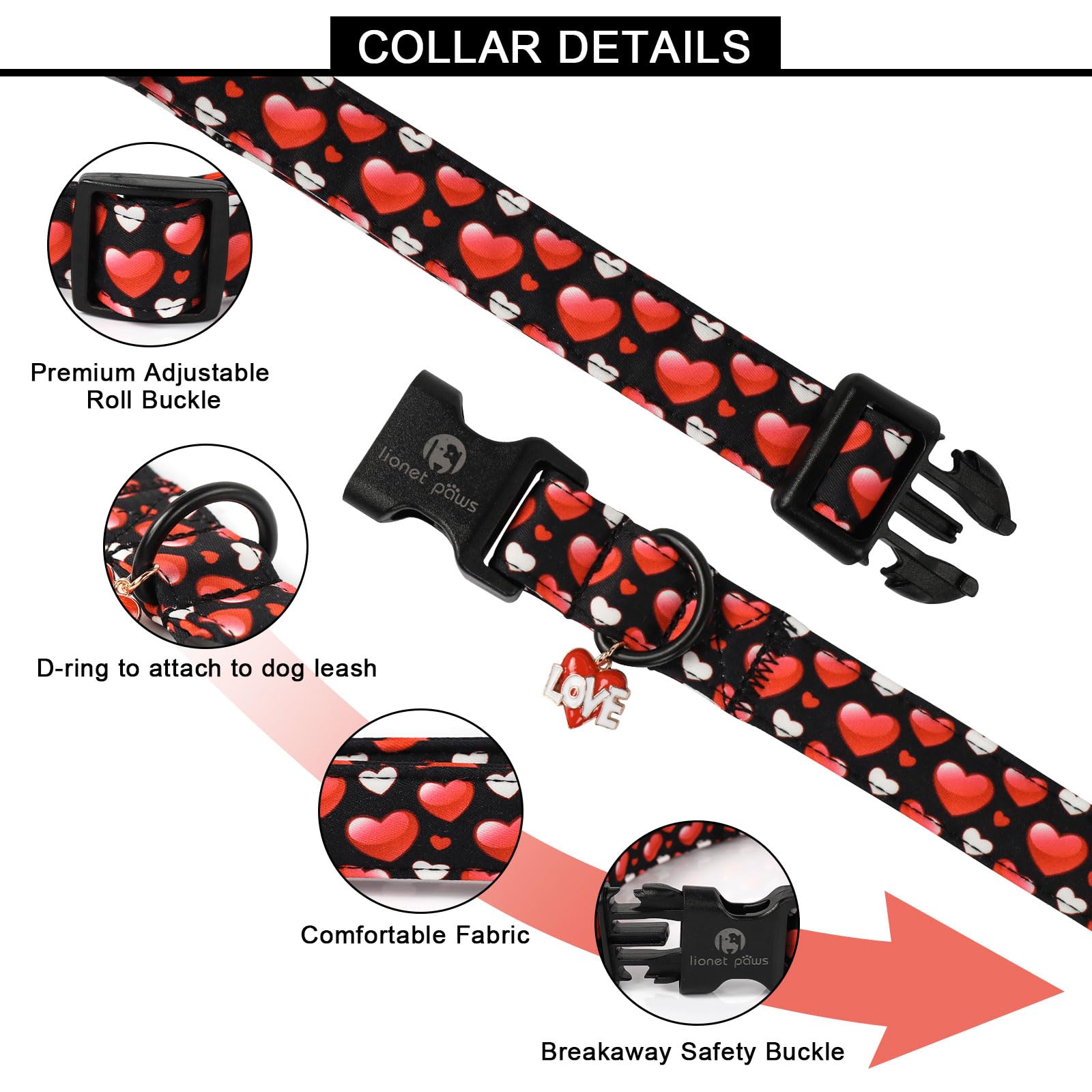 Collar Lionet Paws hebilla plástica, seguro y fácil de colocar.