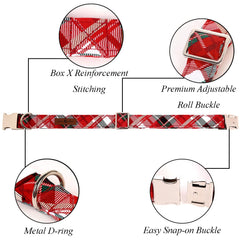 Lionet Paws collar lazo desmontable, se puede usar en otros collares con facilidad.
