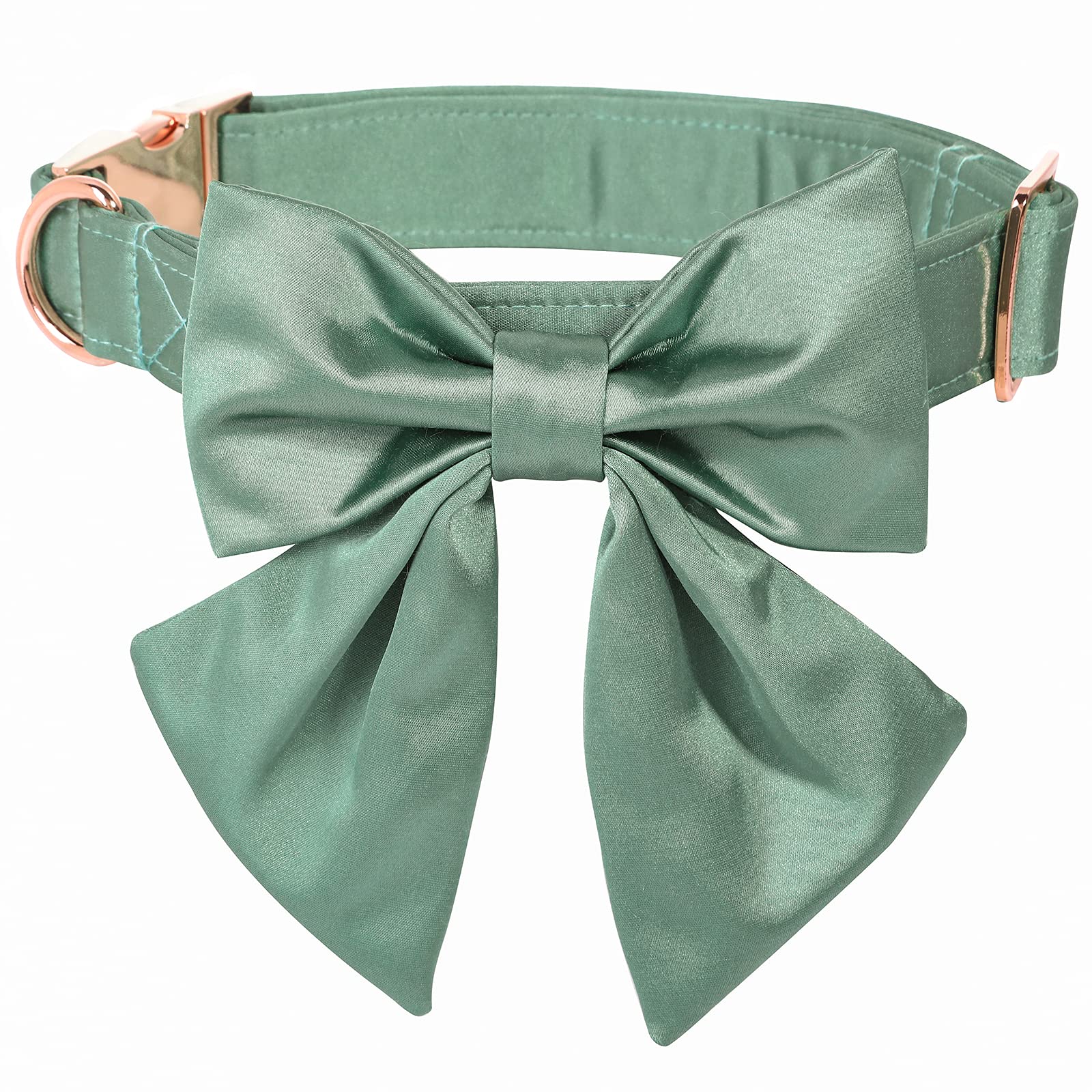 Lionet Paws Lazo desmontable en el collar, ideal para eventos y paseos.