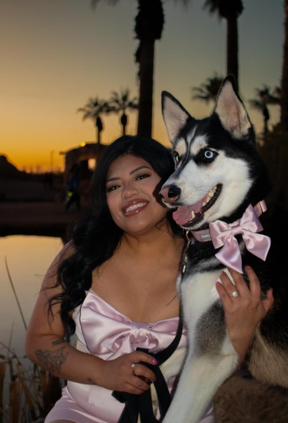 Lionet Paws collar con lazo para sesiones de fotos y eventos caninos.