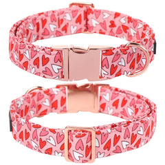 Pajarita desmontable Lionet Paws, perfecta para vestir en ocasiones especiales.