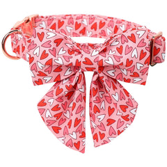 Collar Lionet Paws con pajarita marinera, ideal para salidas y sesiones de fotos.
