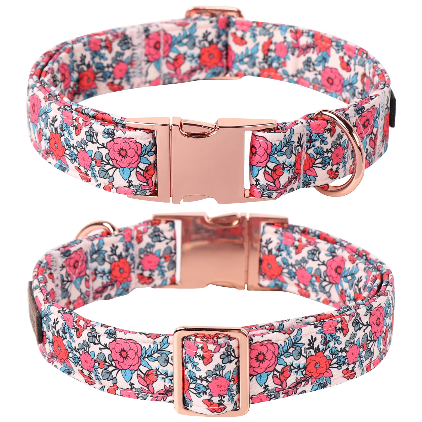 Collar Lionet Paws ideal para fotos familiares y salidas