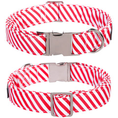Collar Lionet Paws con ajuste extragrande para cuello de 40 a 66 cm.