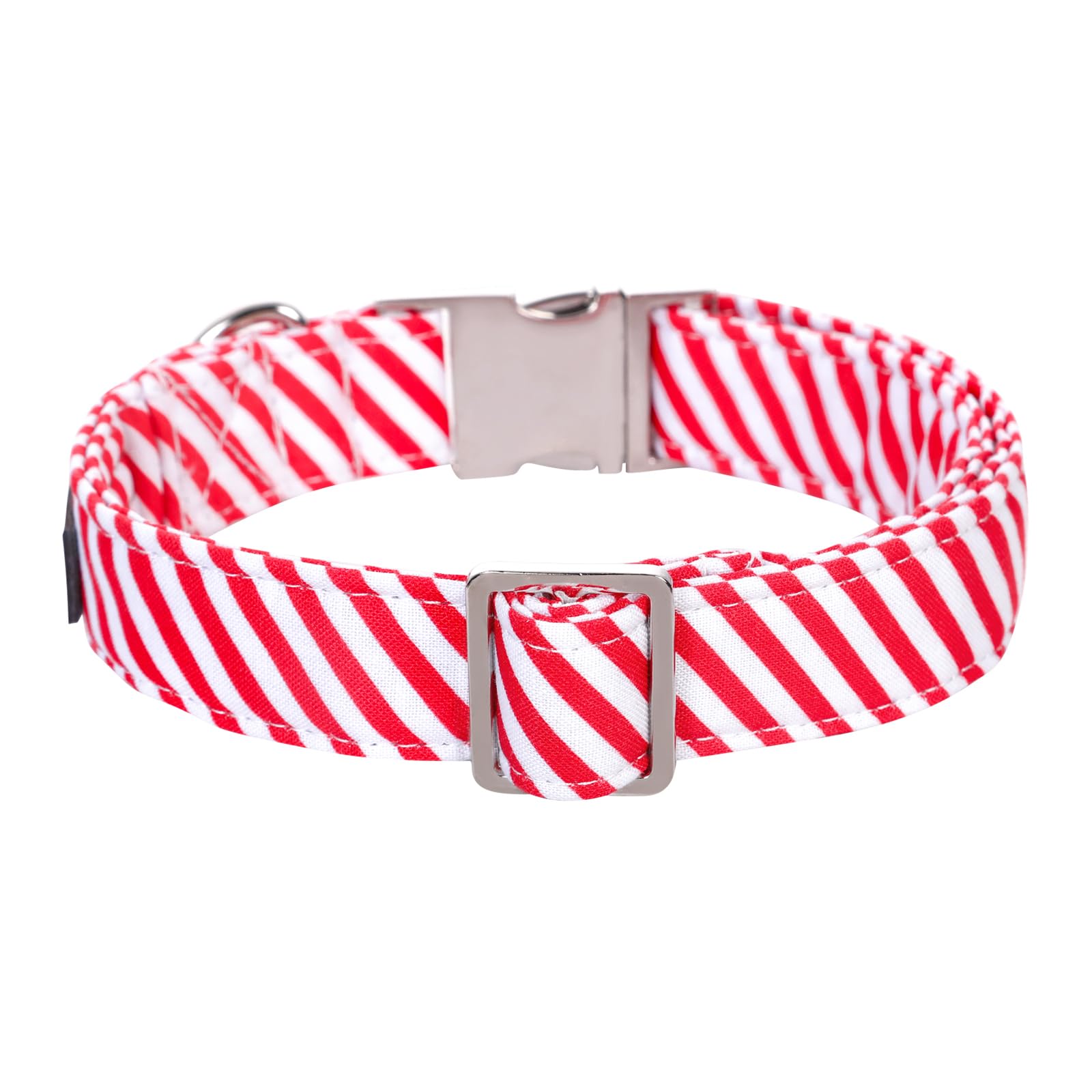 Cierre de hebilla metálica del collar Lionet Paws, fácil de usar.