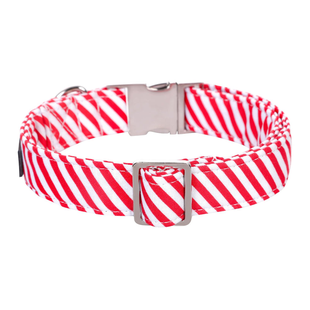 Cierre de hebilla metálica del collar Lionet Paws, fácil de usar.
