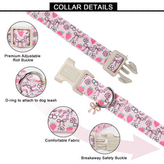 Collar Lionet Paws con hebilla plástica, fácil de colocar