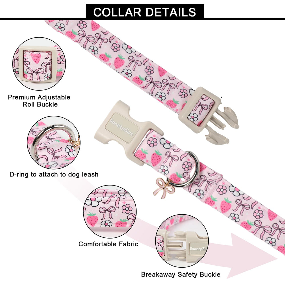 Lionet Paws collar con hebilla rápida para ponérselo fácilmente.
