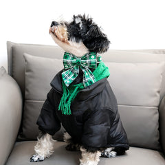 Collar Lionet Paws con lazo desmontable para look versátil
