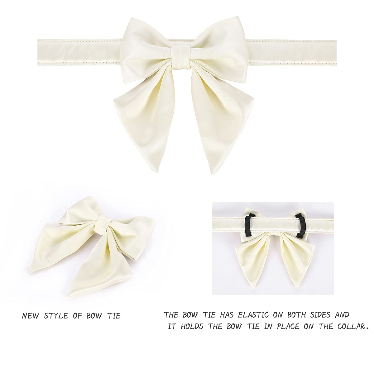 Textura suave del collar Lionet Paws para uso diario