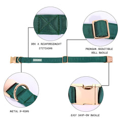 Lionet Paws collar-seda-suave: confort y acabado lujoso para el cuello del perro.