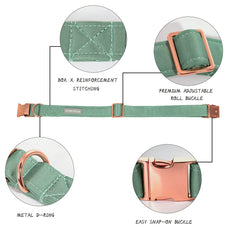 Lionet Paws Collar de seda, textura suave para días cómodos.