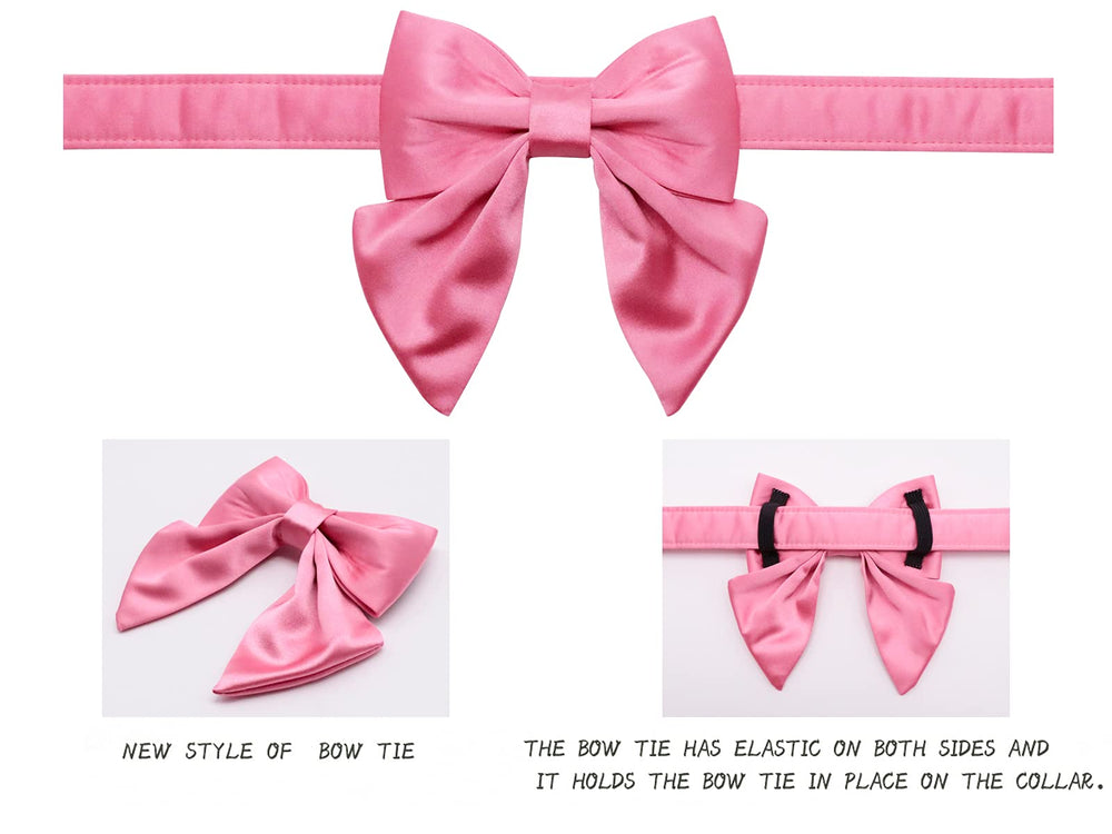 Lionet Paws collar-seda suave y transpirable para uso diario