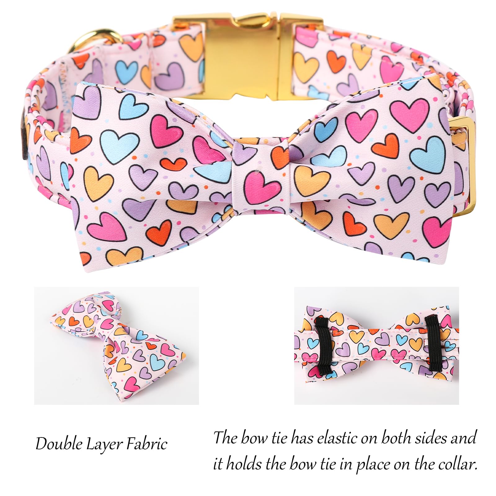 Lionet Paws collar para ocasiones especiales y fotos familiares al aire libre.