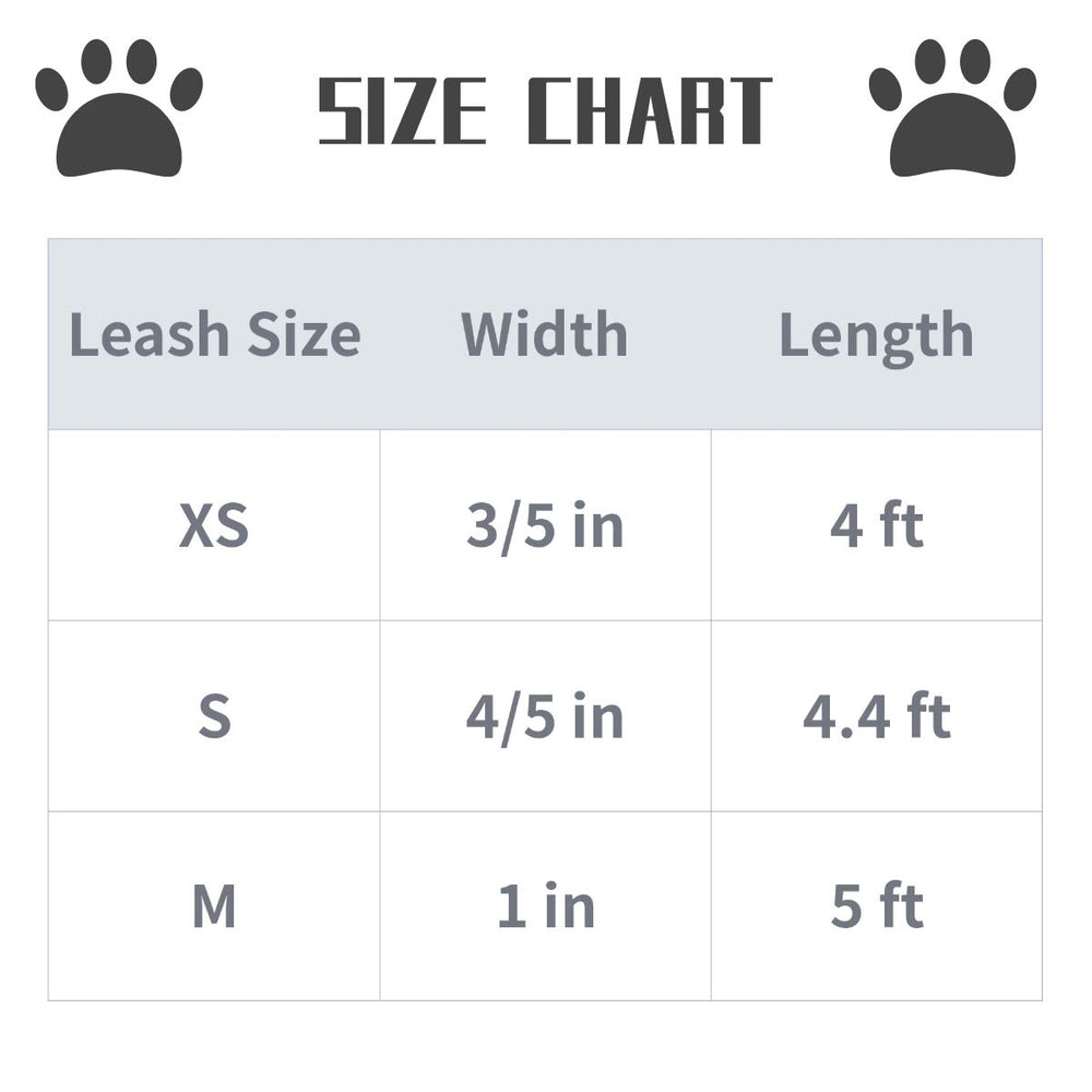 Correa Lionet Paws con collar a juego y moño, estilo coordinado