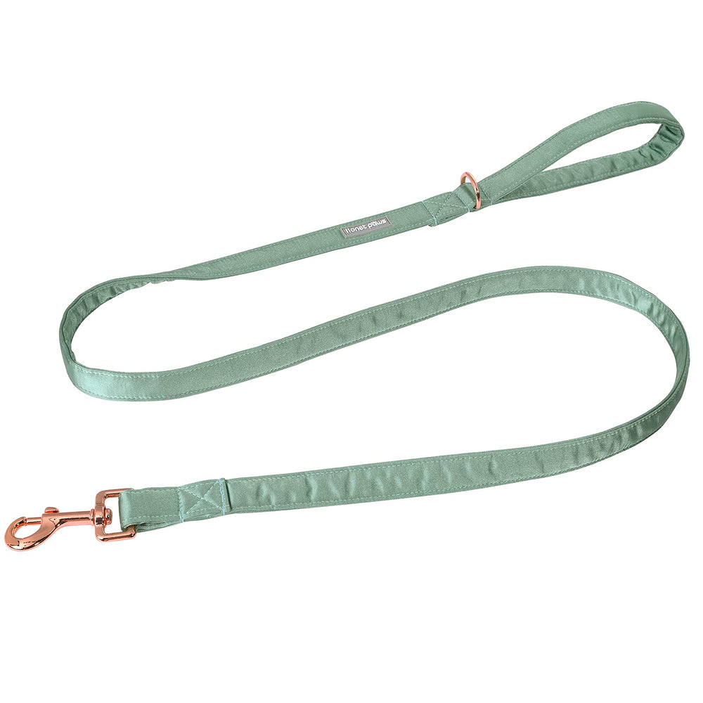 Lionet Paws: correa de perro en seda verde, perfecta para paseos diarios