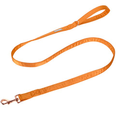 Correa Lionet Paws en seda naranja para paseos suaves y cómodos.