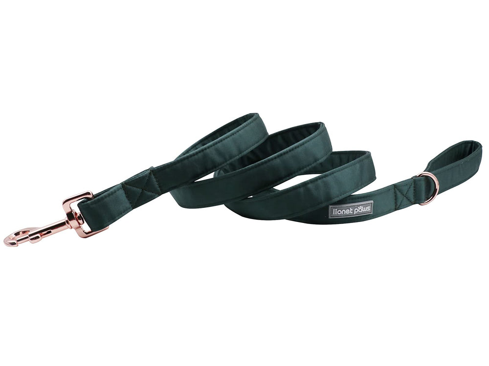 Lionet Paws correa seda verde M perfecta para salidas largas