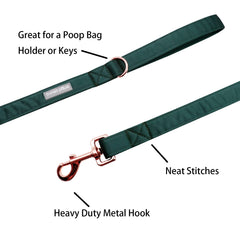 Lionet Paws correa seda verde S ideal para perros medianos