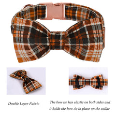 Hebilla de metal duradera en el collar Lionet Paws para un ajuste seguro.