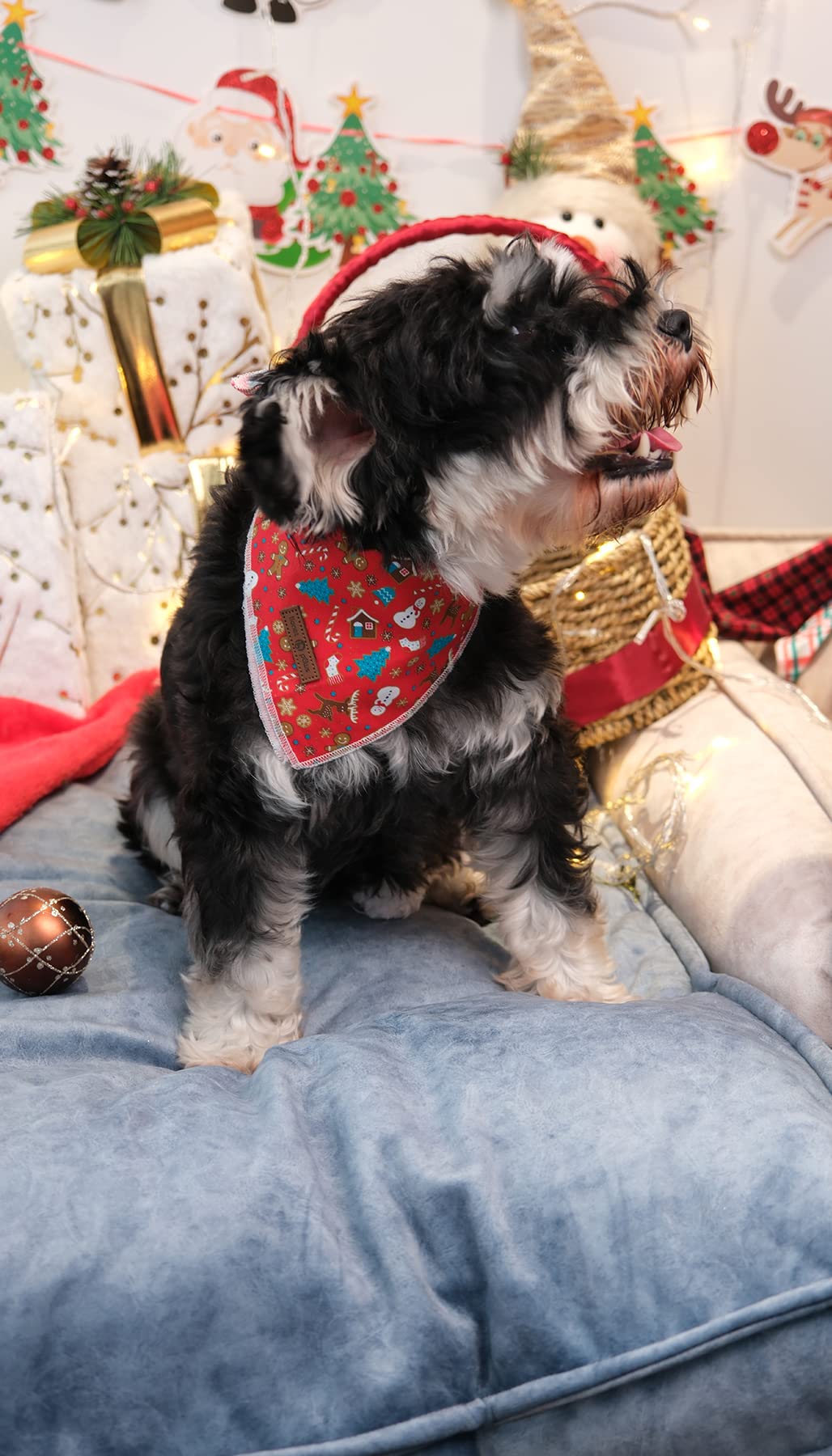 Panuelo de algodón suave Lionet Paws, comodidad diaria para tu perro.