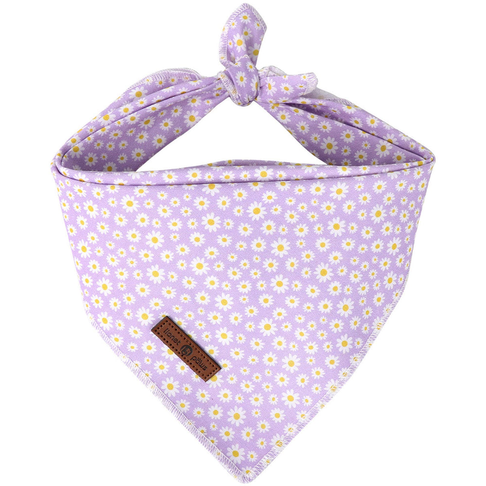 Pañuelo triangular de lionet paws para perro en púrpura con diseño daisy, ideal para fotos