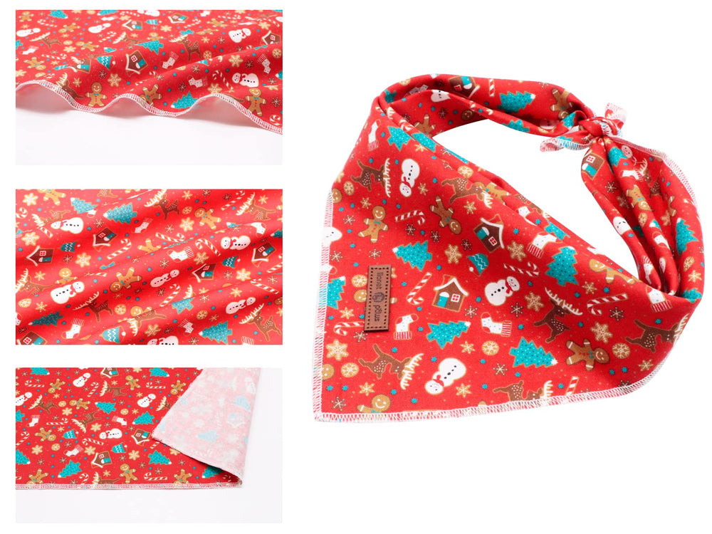 Panuelo Lionet Paws con estampado distintivo, accesorio de moda para salidas.