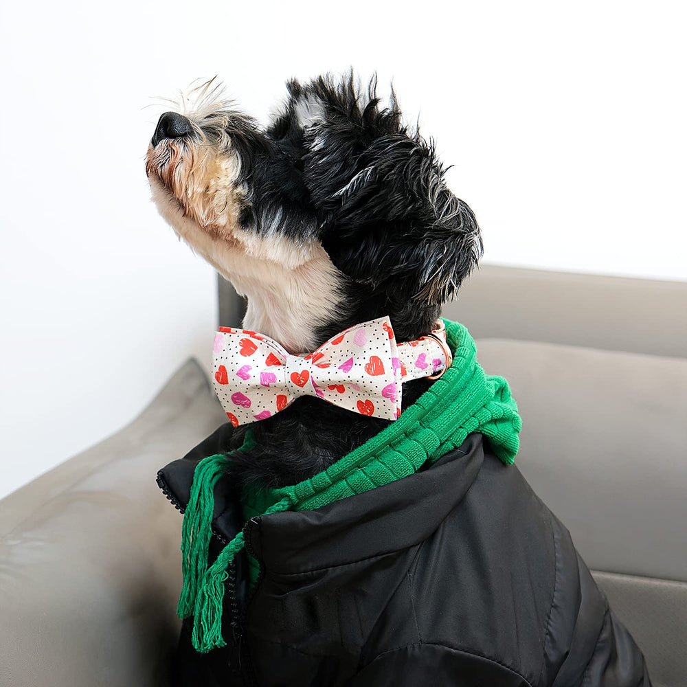 Patrón único del collar Lionet Paws con diseño distintivo.
