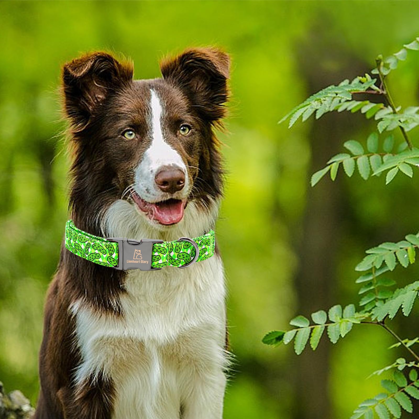 Lionheart collar verde tallas XS-XL para perros de distintos tamaños.