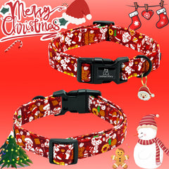 Collar Lionheart Glory ajustable para un ajuste cómodo en todas las tallas