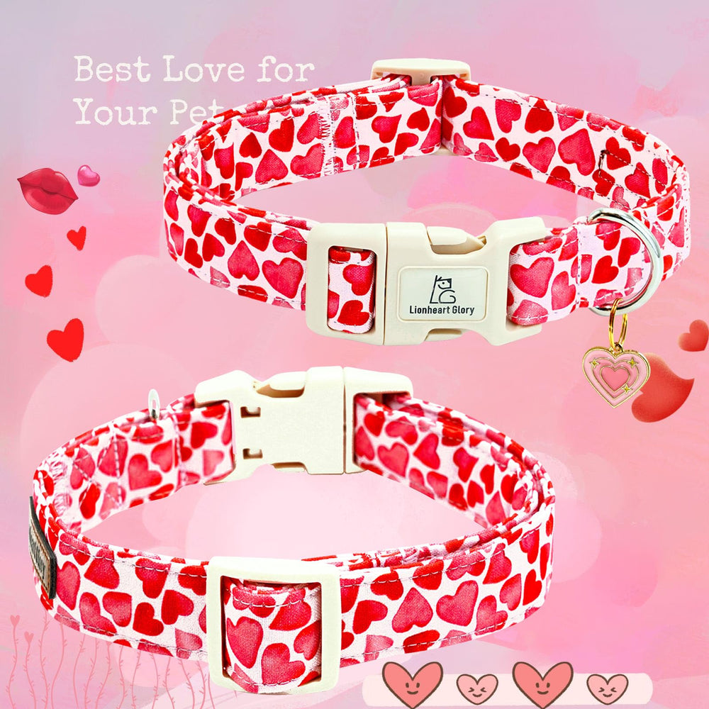 Collar Lionheart Glory ajustable para perros grandes, cómodo y duradero.