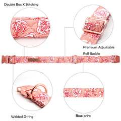 Collar ajustable y resistente Lionheart Glory para perros medianos.