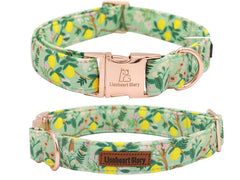 Lionheart glory collar ajustable XS, ideal para razas pequeñas.