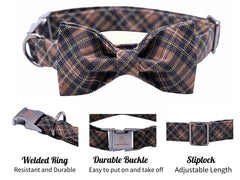 Collar Lionheart Glory de algodón suave, ideal para uso diario