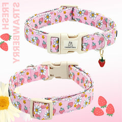 Collar Lionheart glory con diseño de fresas, perfecto como regalo para perros.
