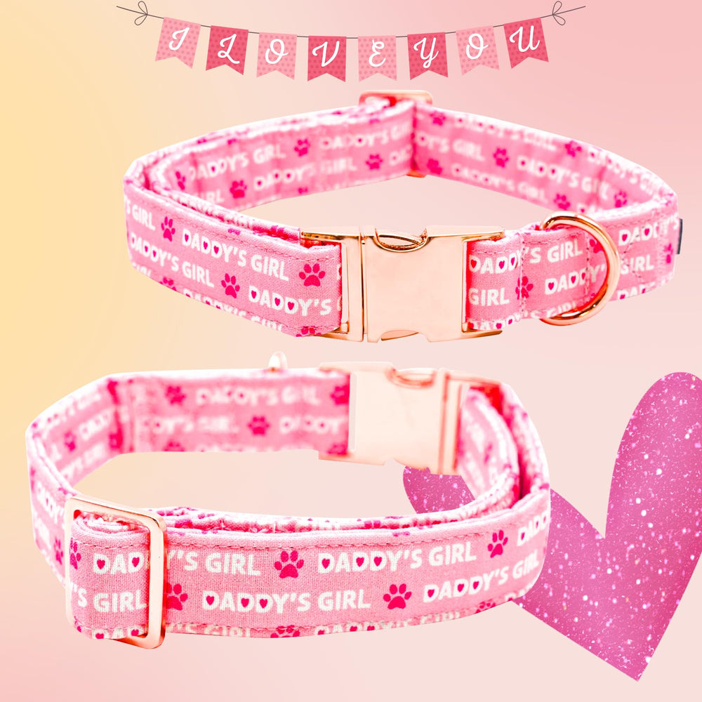 Collar Lionheart Glory diseño único con corazones; regalo ideal para mascotas.