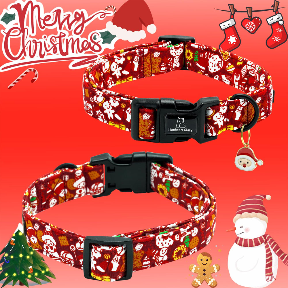 Collar con diseño único Lionheart Glory que realza la personalidad