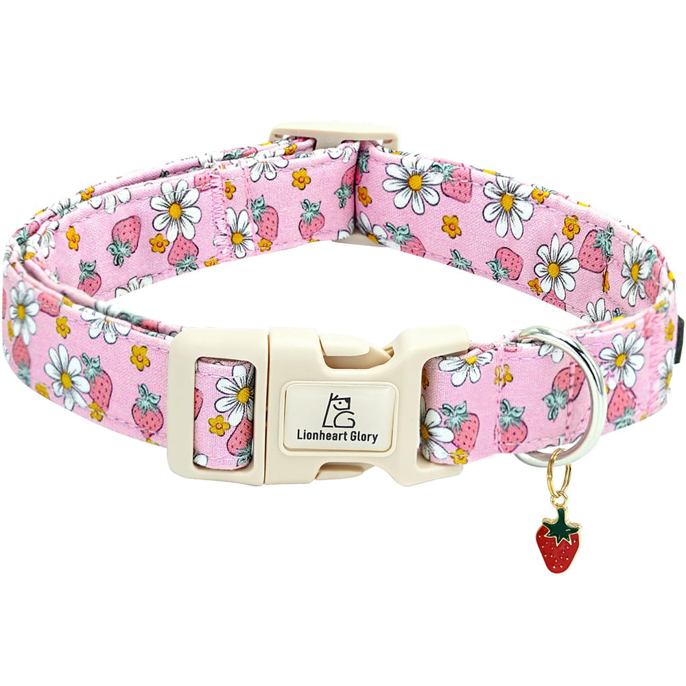 Collar Lionheart glory con estampado de fresas en rosa, ideal para paseos diarios.