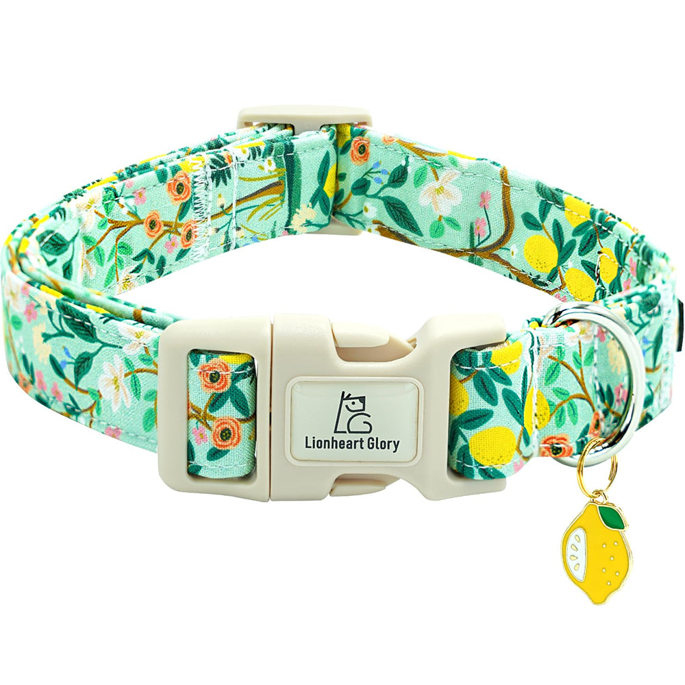 Collar Lionheart Glory con estampado de limones para estilo fresco y cómodo.
