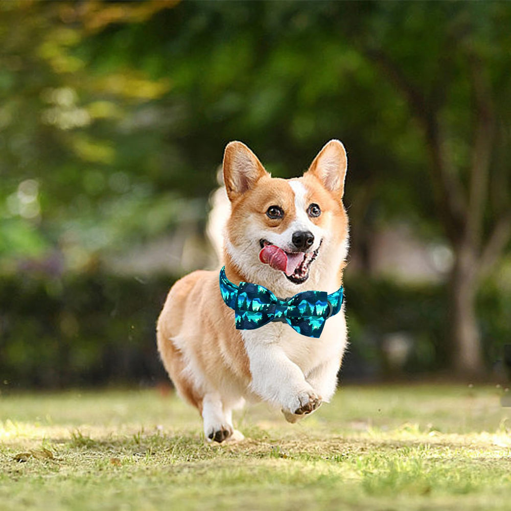 Ideal para perros pequeños en salidas diarias y regalo.