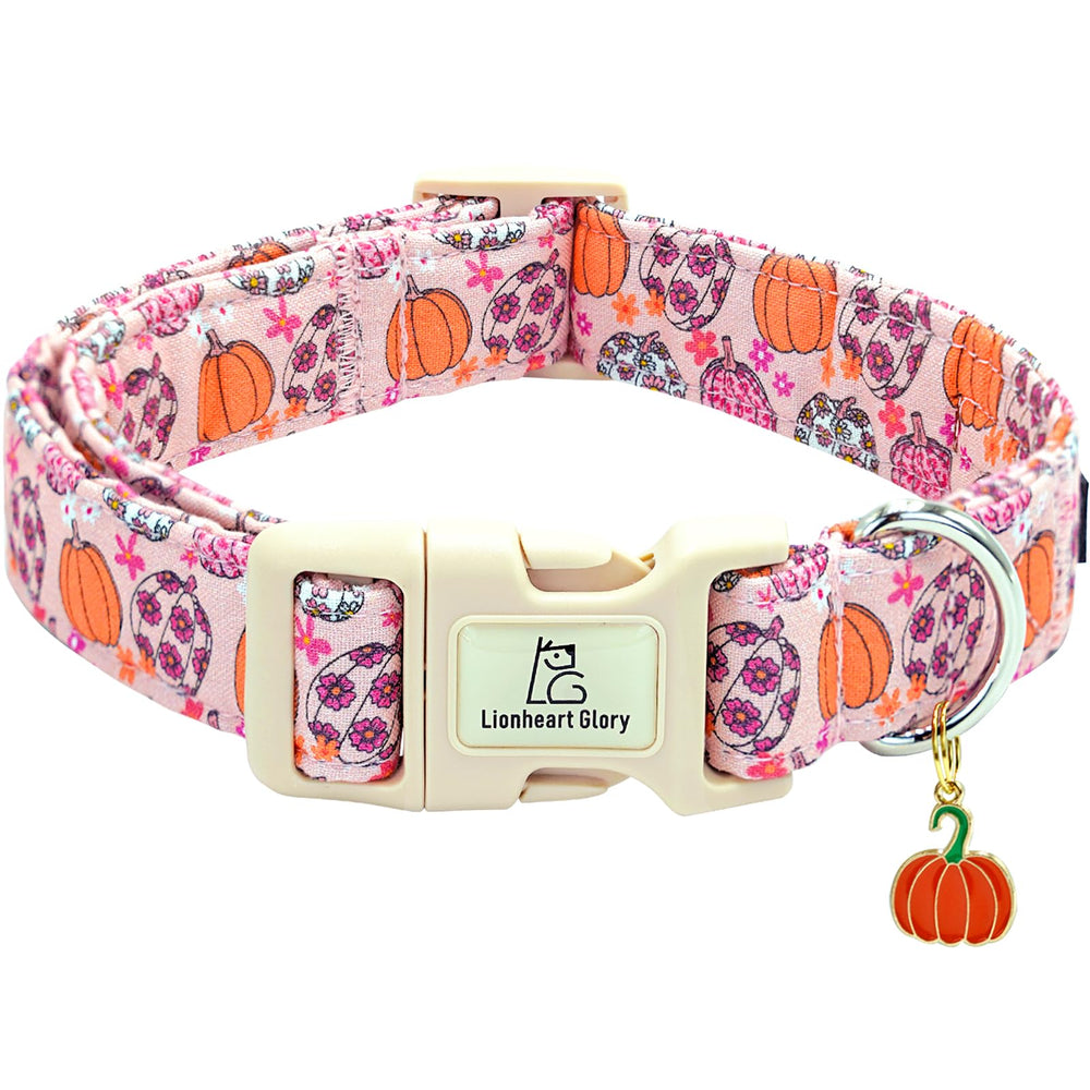 Collar Lionheart Glory con calabaza floral, perfecto para paseos otoñales.