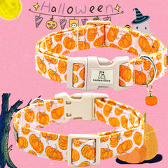Diseño de otoño Lionheart Glory calabaza rosa para sesiones de fotos.