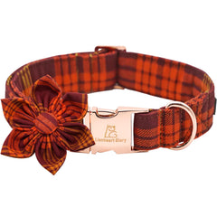 Collar Lionheart glory con flor caída removible, decorativo y cómodo.