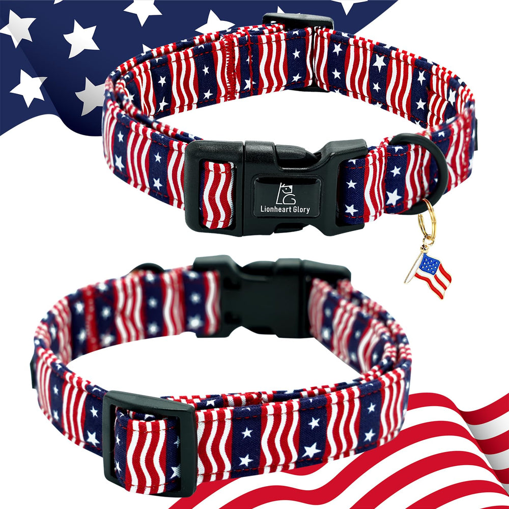 Collar Lionheart glory, diseño único que resalta la personalidad.