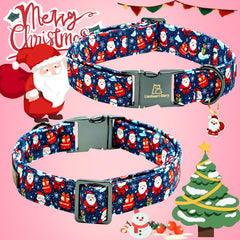 Collar Lionheart Glory con anilla resistente para paseos